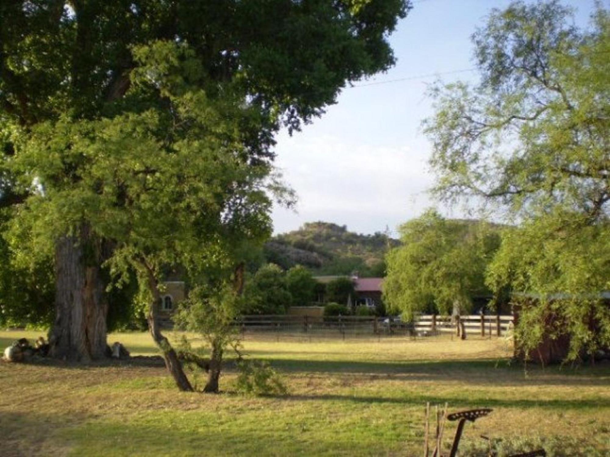 Spirit Tree Inn B&B Patagonia Екстериор снимка