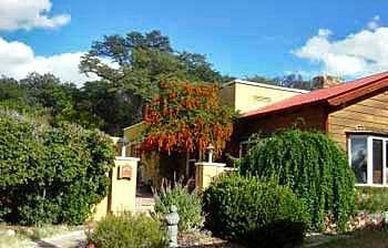 Spirit Tree Inn B&B Patagonia Екстериор снимка